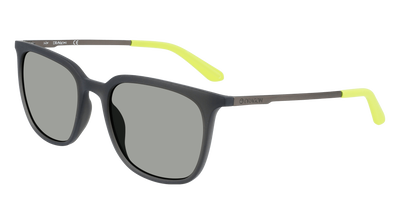 ZIGGY ION SALE