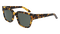 ROWAN POLARIZED